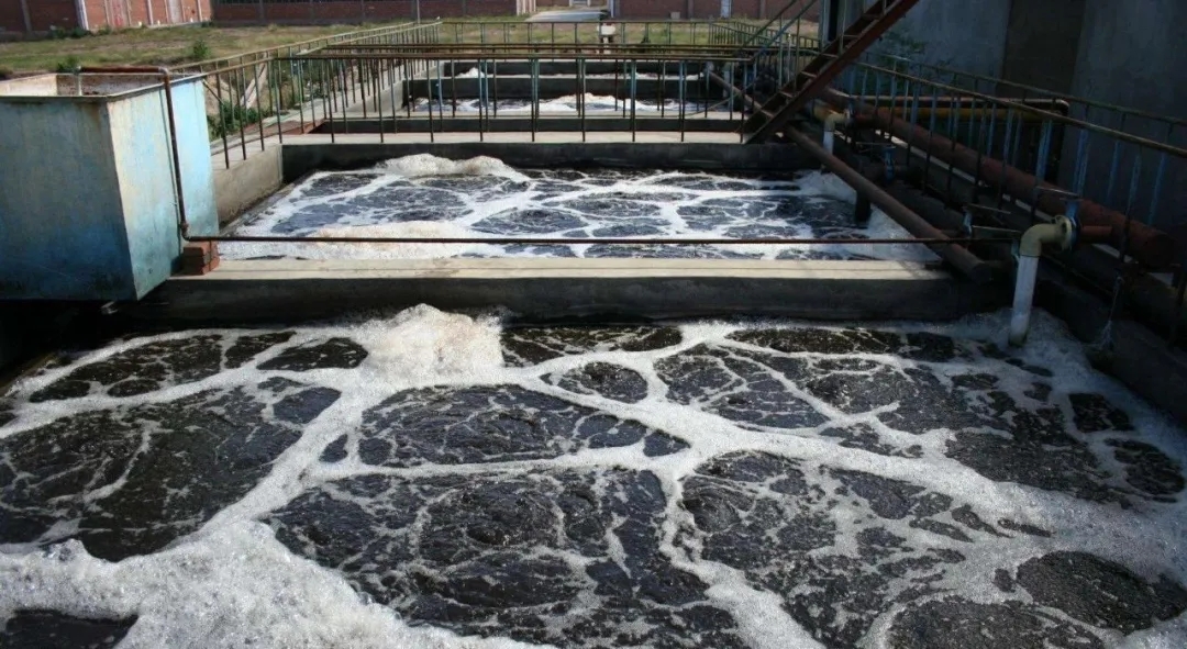 住建部：如何應(yīng)對(duì)新冠病毒從馬桶到水環(huán)境的潛在傳輸途徑？