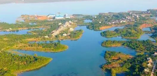 不斷加速的淘汰賽中，泵管閥“后浪們”為活下去而戰(zhàn)！