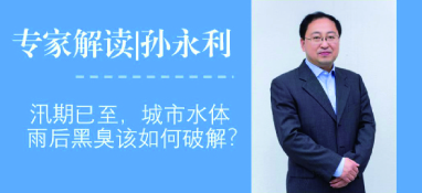 汛期已至，城市水體雨后黑臭問題該如何破解？
