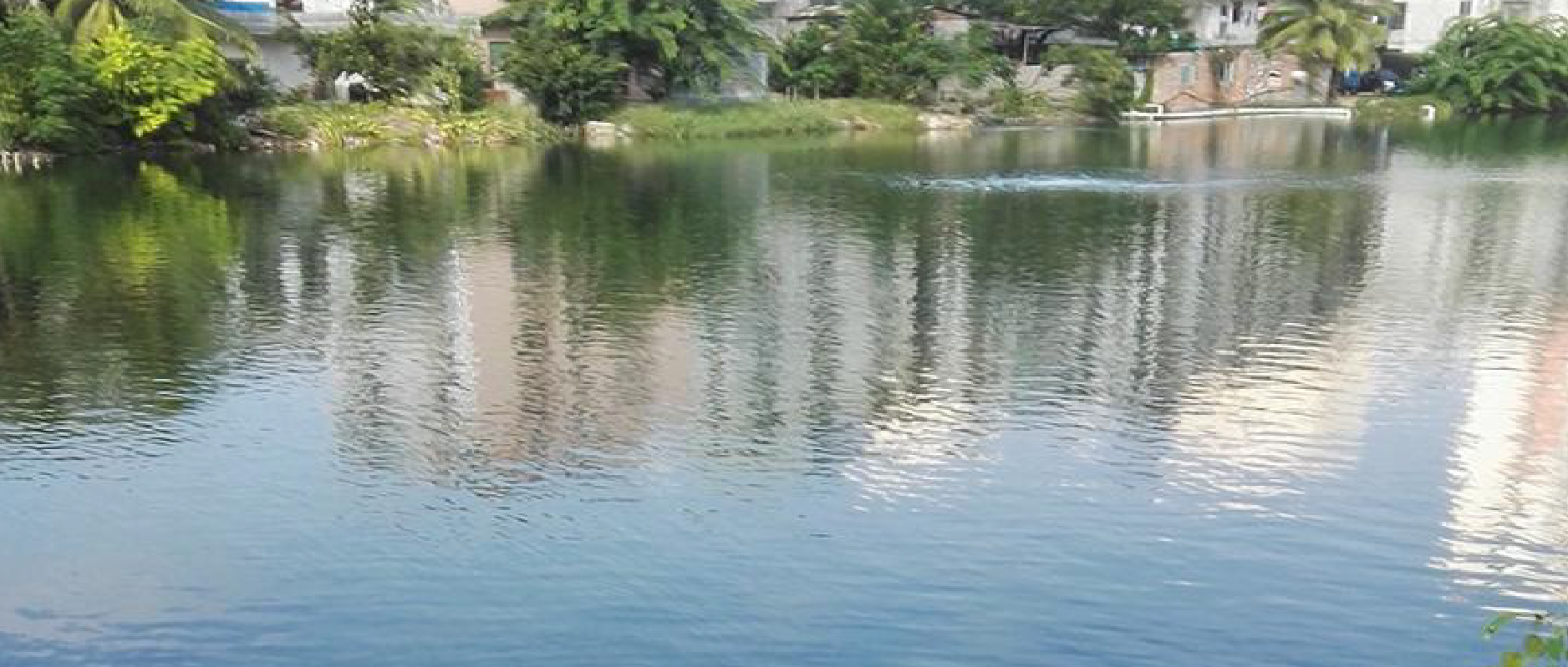 2023黑臭水體整治新動(dòng)作不斷！問(wèn)題到底怎么破？