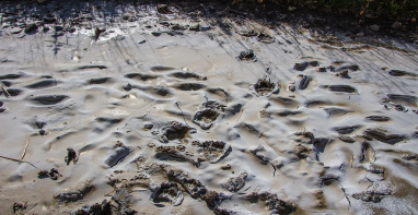 流體展|換季污泥膨脹，怎么辦？