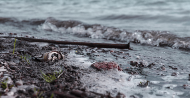 流體展|103條黑臭水體！江蘇2024年全省農(nóng)村環(huán)境整治工作計(jì)劃！
