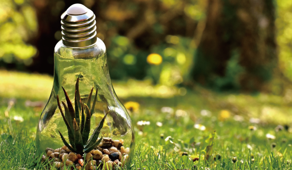 流體展|中央生態(tài)環(huán)境保護(hù)督察通報(bào)江蘇典型案例：部分水體返臭返黑